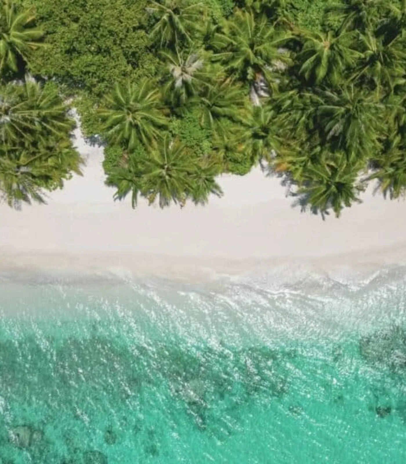 people-nature-kon-tiki-tahiti